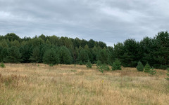 Все автомобили кировской лесоохраны оснастили системой ГЛОНАСС