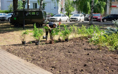 В сквере у оврага Засора появятся цветы и сирень