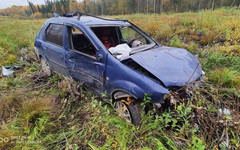 В Омутнинском районе иномарка опрокинулась в кювет. Есть пострадавшие