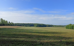 В районах Кировской области ввели режим ЧС из-за гибели посевов