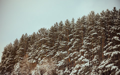 Синоптик предупредил о крещенских морозах в России