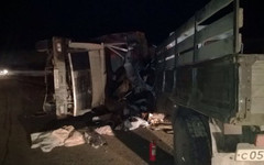 В Татарстане столкнулись два грузовика: среди пострадавших кировчанин