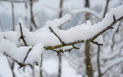 В Кировской области средняя температура воздуха в феврале будет -12 градусов