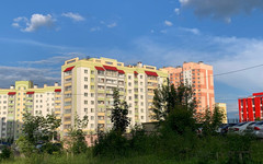 Депутат Милонов предложил запретить продажу энергетиков