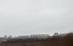 Депутат Немкин предупредил о мошенничестве в «Черную пятницу»