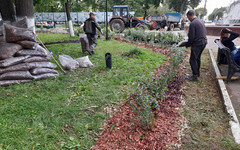 У фонтана на Театральной площади высаживают живую изгородь