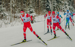 Лыжные гонки в Кировской области. Кто из олимпийцев будет участвовать и где смотреть соревнования?