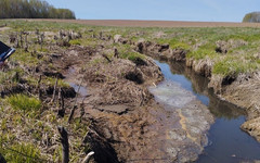 В Котельничском районе местную агрофирму подозревают в загрязнении реки