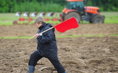 Кировчане смогут бесплатно получить земли сельхозназначения