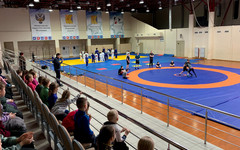 В Кирове проведут чемпионат и первенство ПФО по боксу