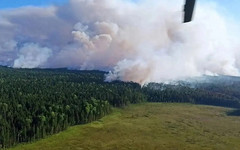 Кировские пожарные потушили лесные пожары в Томской области