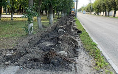 На Октябрьском проспекте у Дома дружбы народов появится дополнительный тротуар