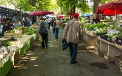 Жители Кирово-Чепецка выступили против обустройства зоны отдыха на месте рынка «Южный»