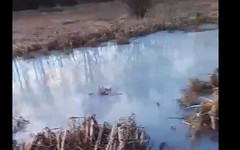 Предприятие, которое загрязняет реку Чахловицу в Пасегово, привлекут к ответственности
