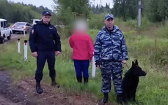 В Слободском полицейские нашли заблудившуюся в лесу пенсионерку