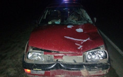В Яранском районе иномарка сбила лося: есть пострадавший