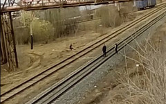 Кировские подростки качались на верёвке над железной дорогой