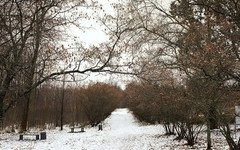 Погода в Кирове. В среду ожидается снегопад