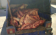 В Киров пытались завезти опасное мясо