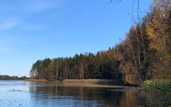 В Кировской области 10 ноября прогнозируют +6