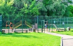 В Кирове появятся места для собак
