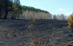 14 и 15 июля в Кировской области ожидается пожарная опасность четвёртого класса