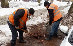 С улиц Кирова за сутки вывезли 33 кубометра мусора