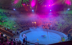 Куда сходить в Кирове в выходные 15 и 16 ноября?