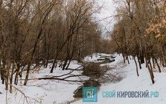 В Кирове нашли тело женщины, пропавшей 5 марта