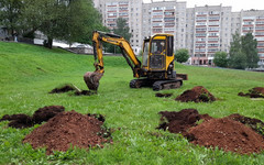 На каскаде набережной Грина высадят ивы и многолетние растения