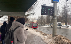 Автобус в Чистые пруды, олени из Белгорода и реабилитационный центр. Главное за 12 марта