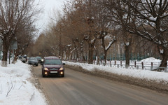 Из-за обрезки деревьев в Кирове ограничат движение на одной из улиц