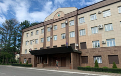 Жителя Омутнинского района будут судить за рубку леса на 9 млн рублей