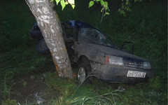 В Яранском районе пьяный водитель «Лады» съехал в кювет и врезался в дерево