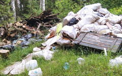 В лесу Верхошижемского района нашли свалку с опасными отходами