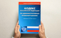 В Кировской области оштрафовали 88 владельцев собак