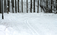 В кировском дендропарке обновили лыжную трассу