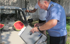 В Кировской области проконтролировали законность торговли арбузами (ФОТО)