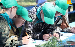 В Кировской области удвоилось количество школьных лесничеств