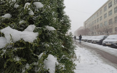 В понедельник в Кирове будет ясная и морозная погода