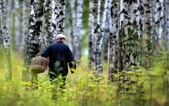 Искать пропавших людей по расположению мобильников можно будет без решения суда