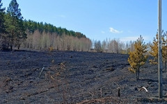 В Оричевском районе огонь с горящей сухой травы перекинулся на баню