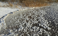 В Кировской области 10 предприятий загрязняют водоёмы региона