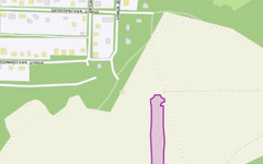 Участок Анжелия Михеева поставили на учёт