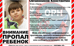 В Кирове ребёнок ушёл гулять с собакой и не вернулся