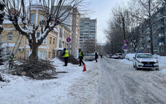 В центре Кирова будут проводить обрезку деревьев
