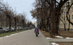 
								Лариса Долина рассказала, что мошенники следили за её детьми
							