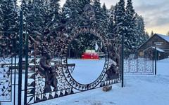 Скандалы и происшествия в Порошино: три громкие истории