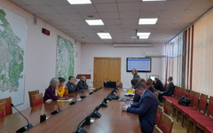 Киров посетили разработчики программы по мониторингу деревьев «Зелёный код»