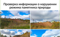 Проверка минэкологии выявила грунт с отходами на территории памятника природы в Кирове